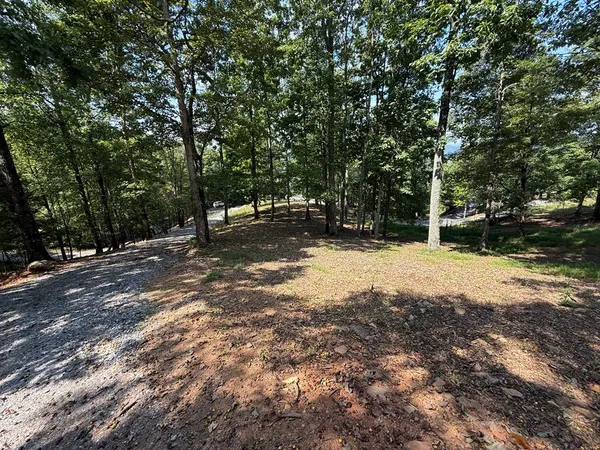 a view of a yard with plants and trees