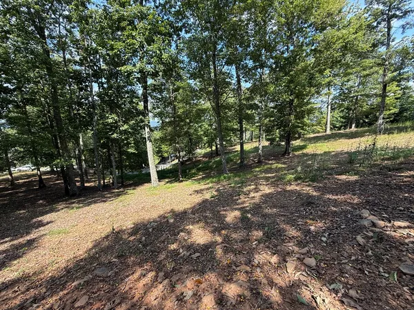 a view of a trees with a yard