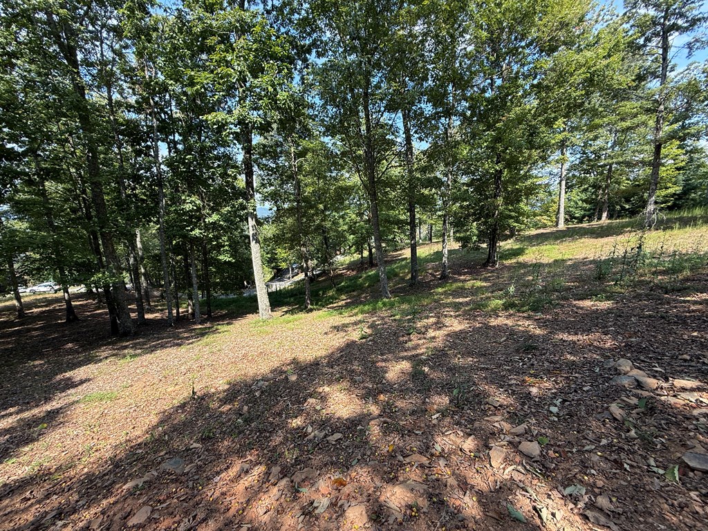 0 Madison Drive Murphy, NC 28906 - Photo 8 of 17 a view of a yard with plants and trees