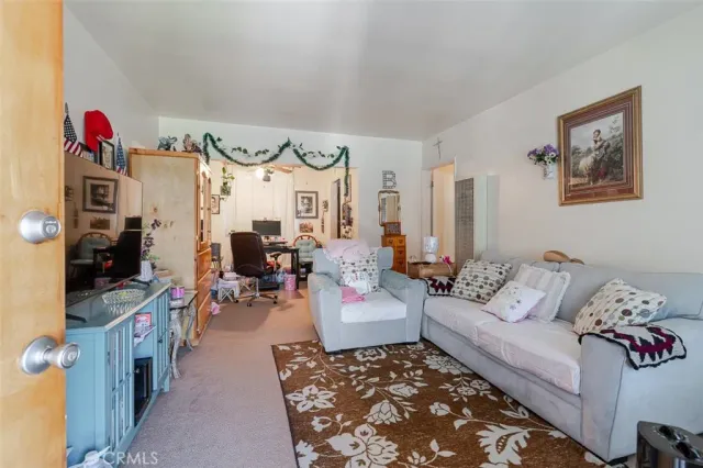 a living room with furniture rug and window