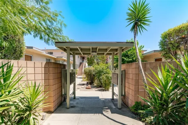 a view of a palm trees in front of a house