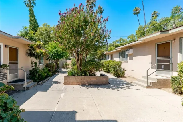 a view of a backyard with potted plants and a large tree
