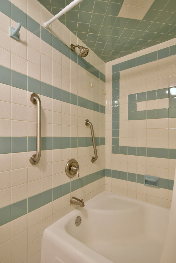 3-n550 Crown Road, Unit 9 Elmhurst, IL 60126 - Photo 22 of 28 Gallery Image 22