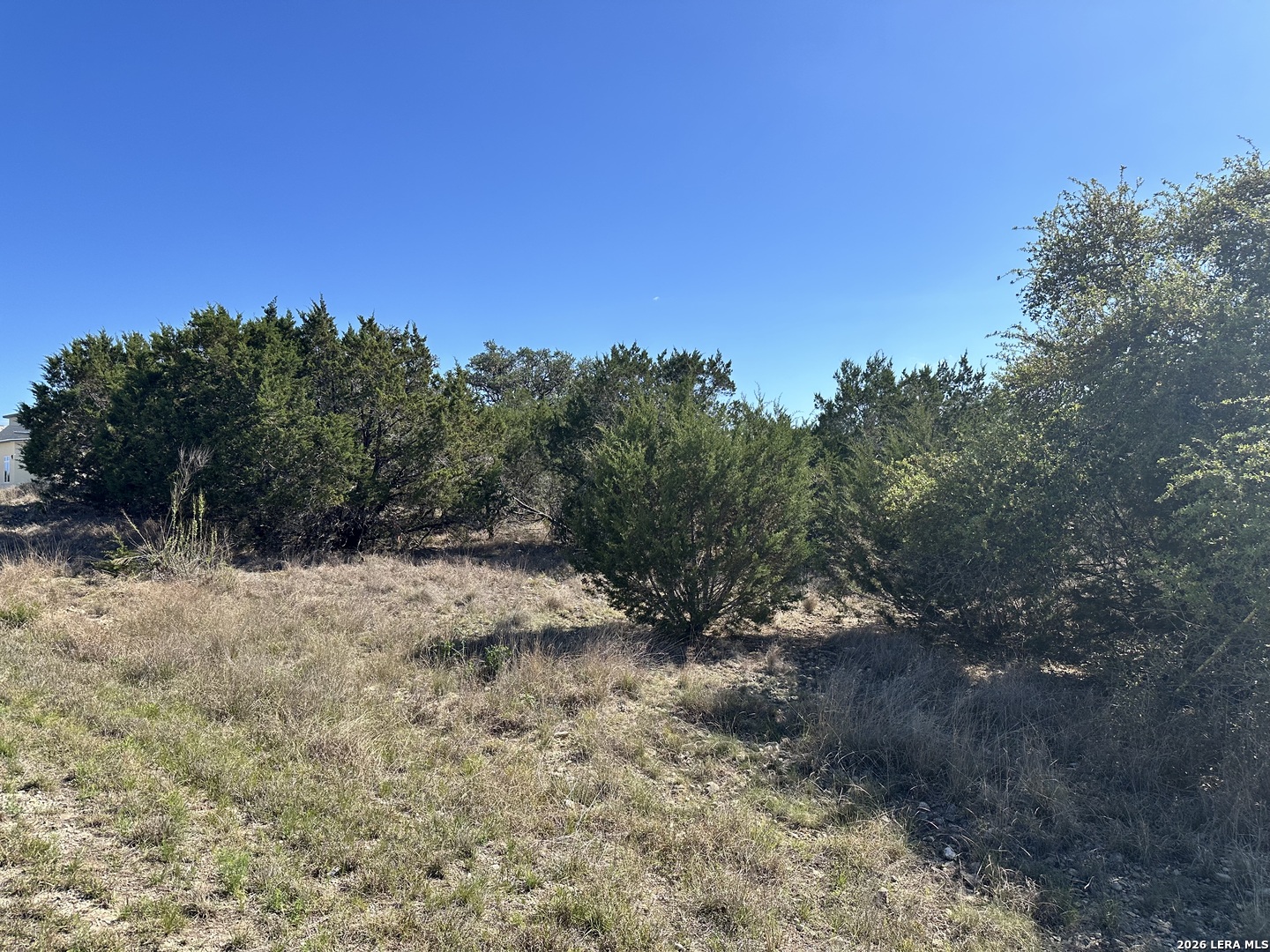 323 Toucan Drive Spring Branch, TX 78070 - Photo 9 of 13 a view of a dry yard with trees in the background