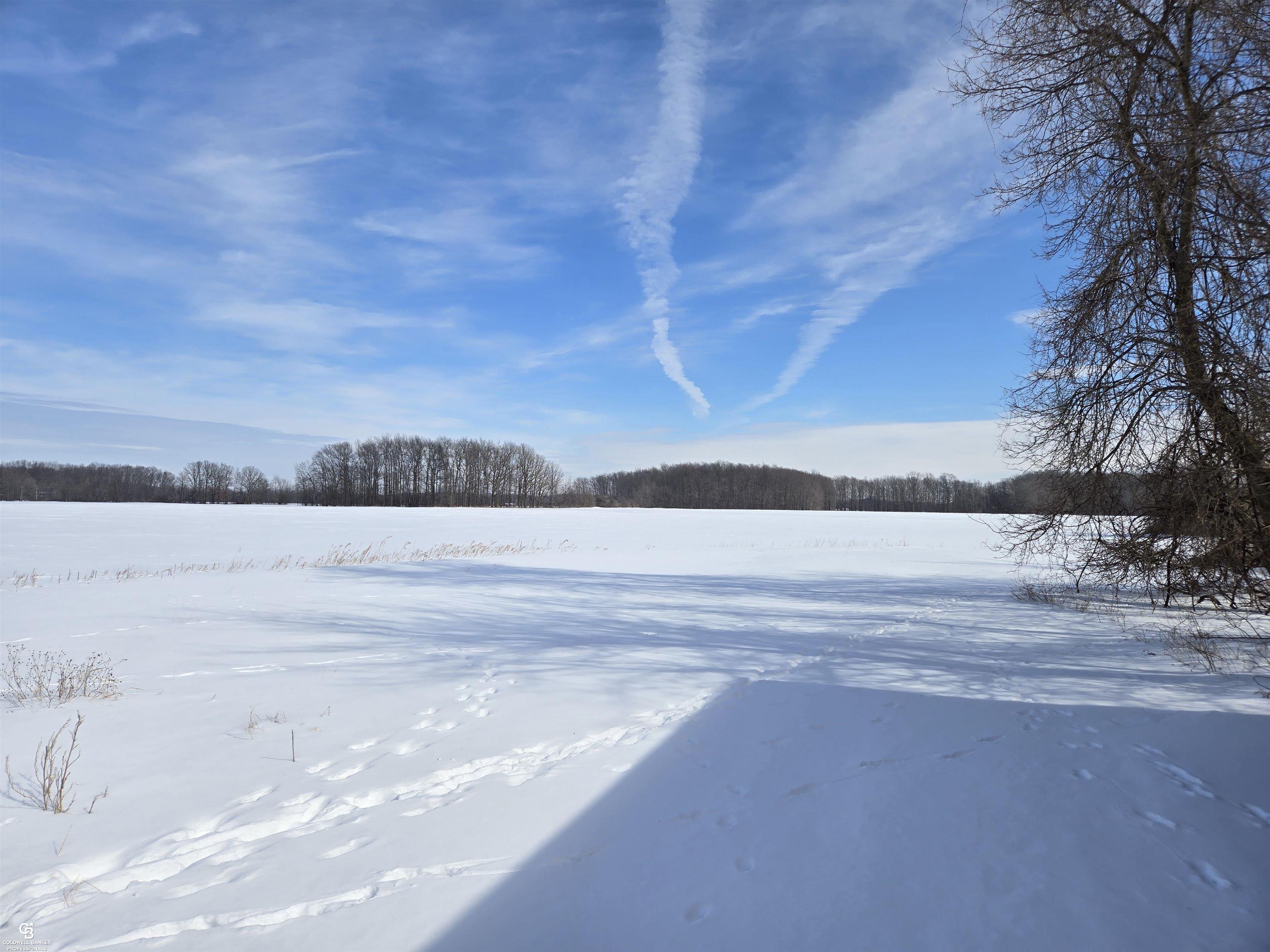 0 Fargo Vl Road Avoca, MI 48006 - Photo 8 of 11