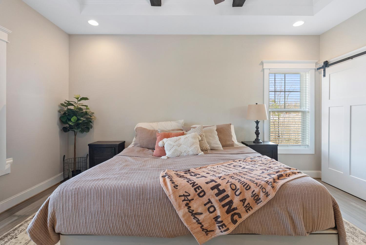 835 Sunset Ridge Drive Concord, VA 24538 - Photo 19 of 57 a bedroom with a large bed and a potted plant