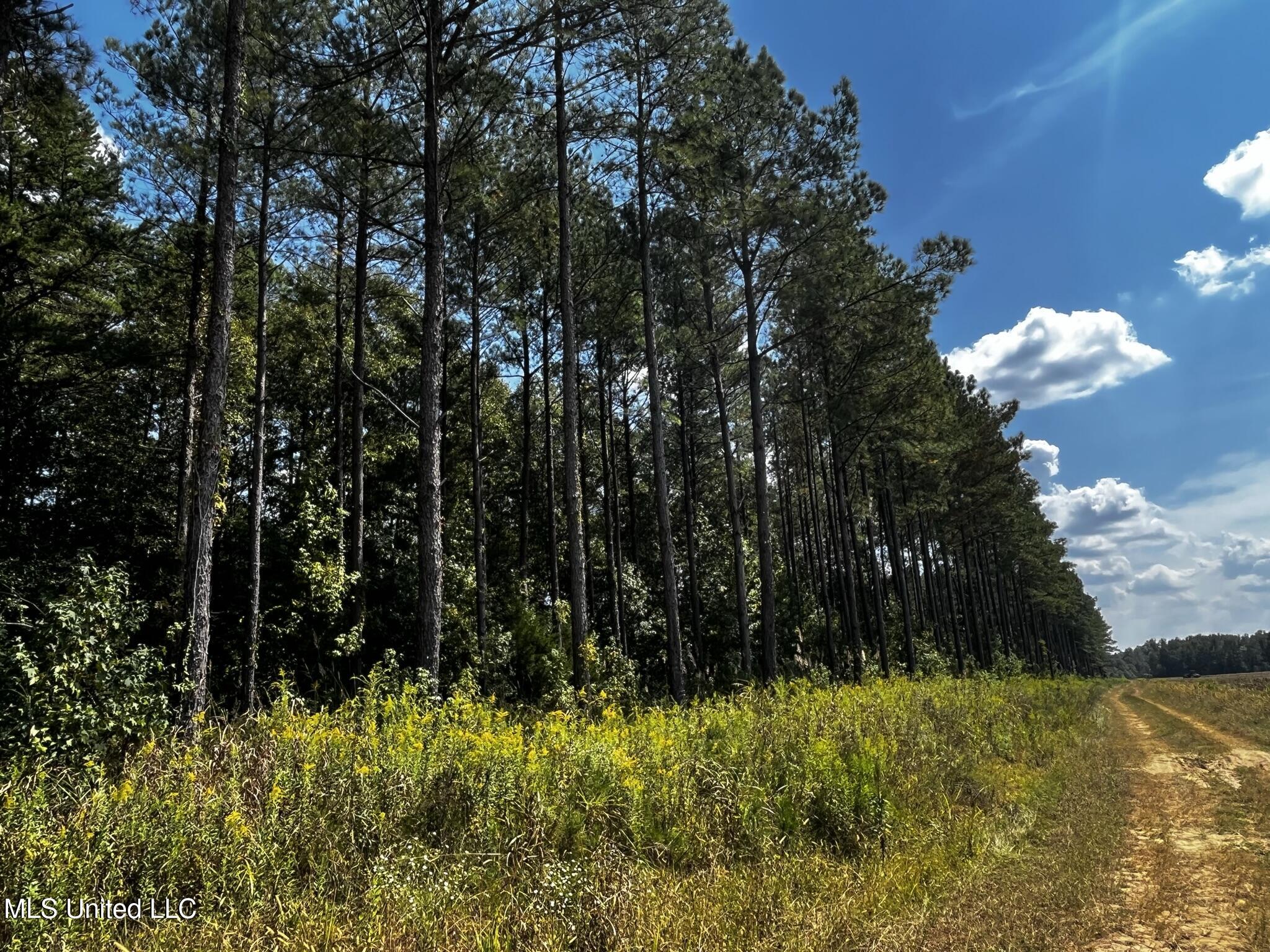 43 County Road Eupora, MS 39744 - Photo 20 of 34 IMG_0712