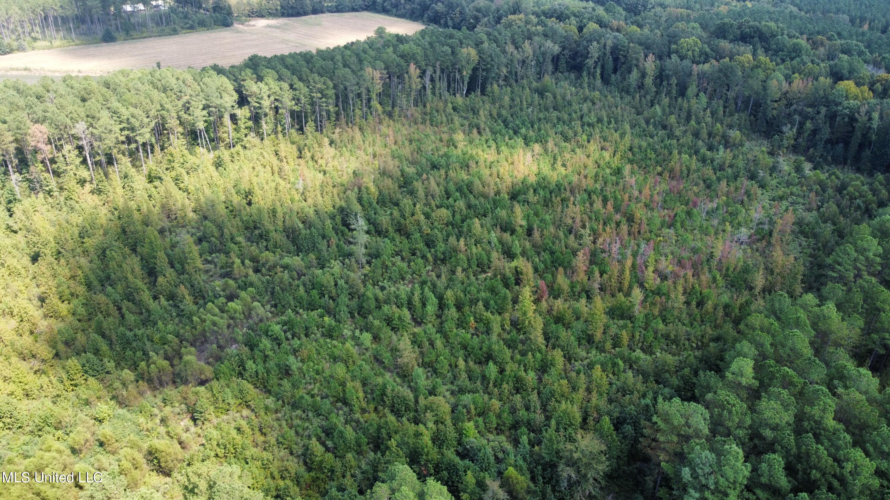 43 County Road Eupora, MS 39744 - Photo 4 of 34 dji_fly_20230921_123534_982_169531803575