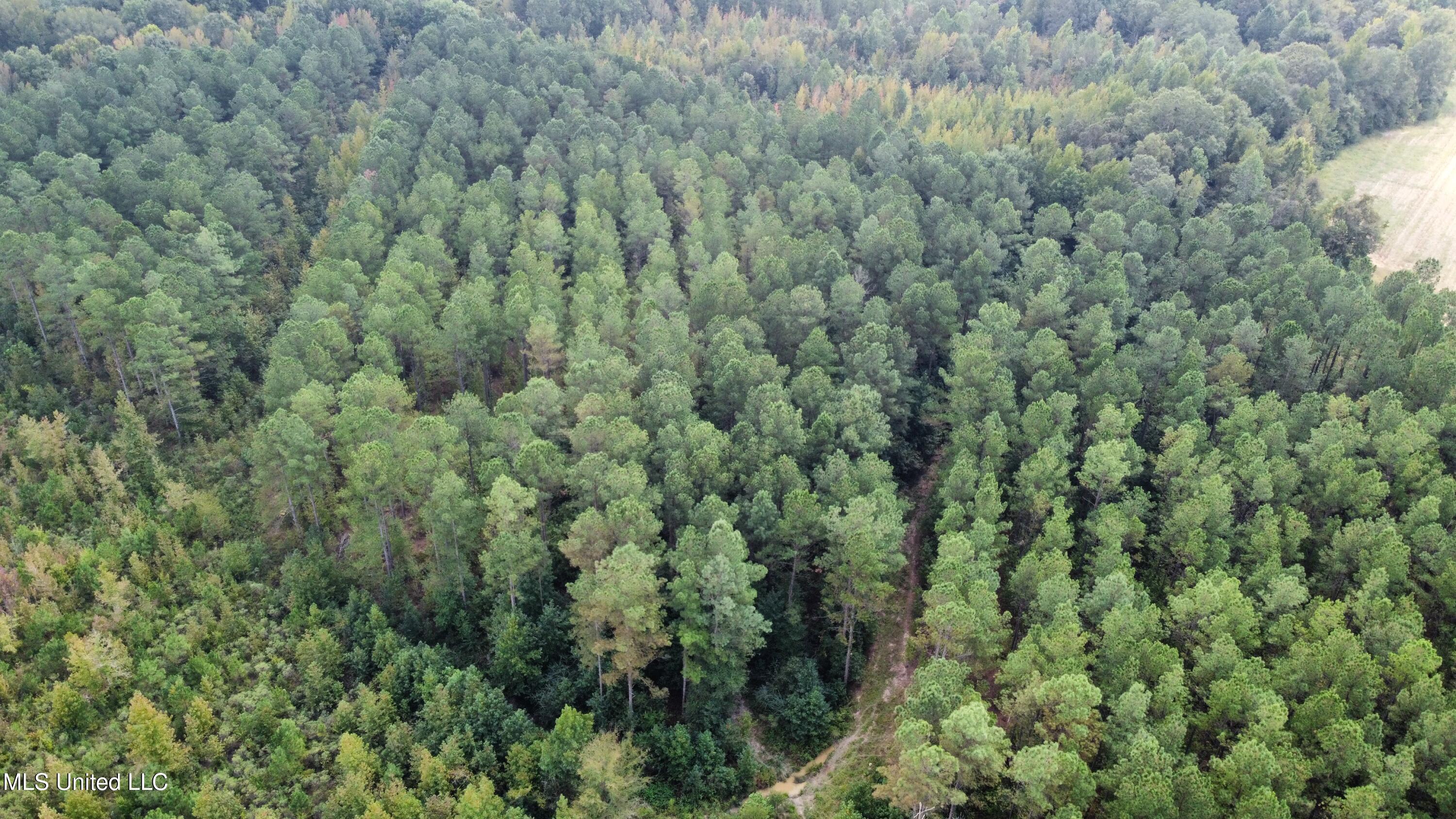 43 County Road Eupora, MS 39744 - Photo 6 of 34 dji_fly_20230921_123638_985_169531803159