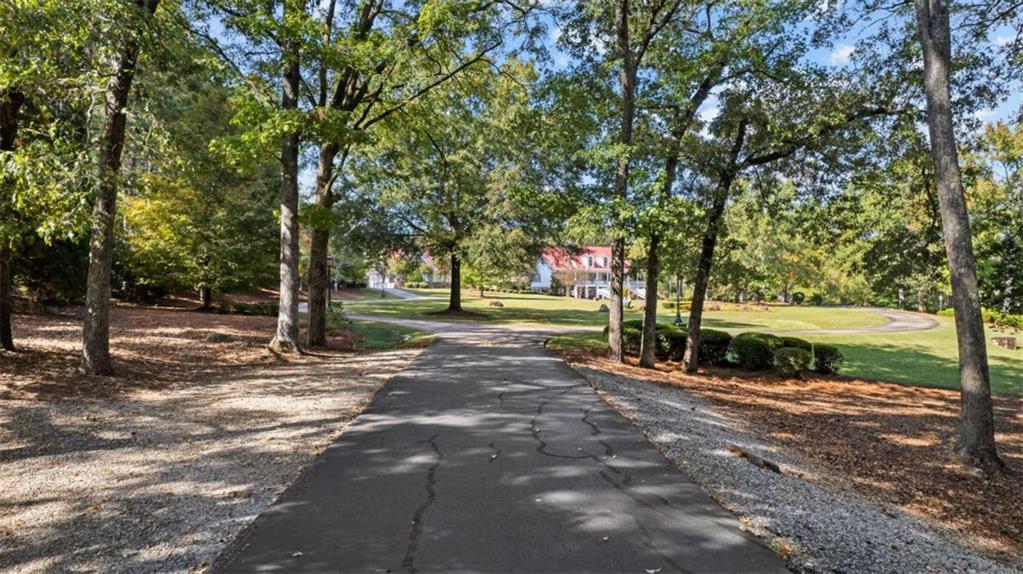 5225 Chalybeate Springs Road Woodland, GA 31836 - Photo 46 of 100 a view of park with tree