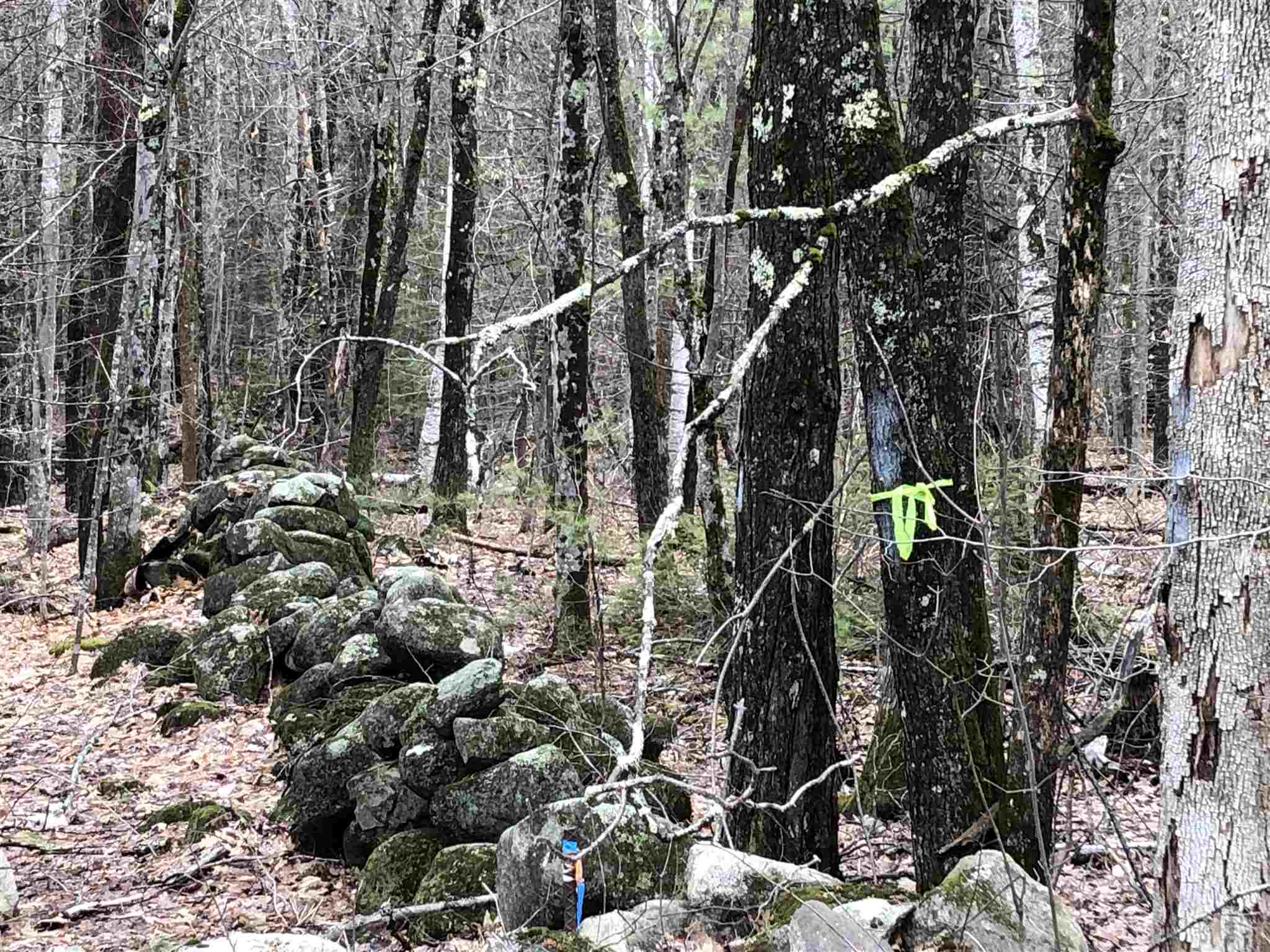 Drew Hill Road Alton, NH 03809 - Photo 1 of 4