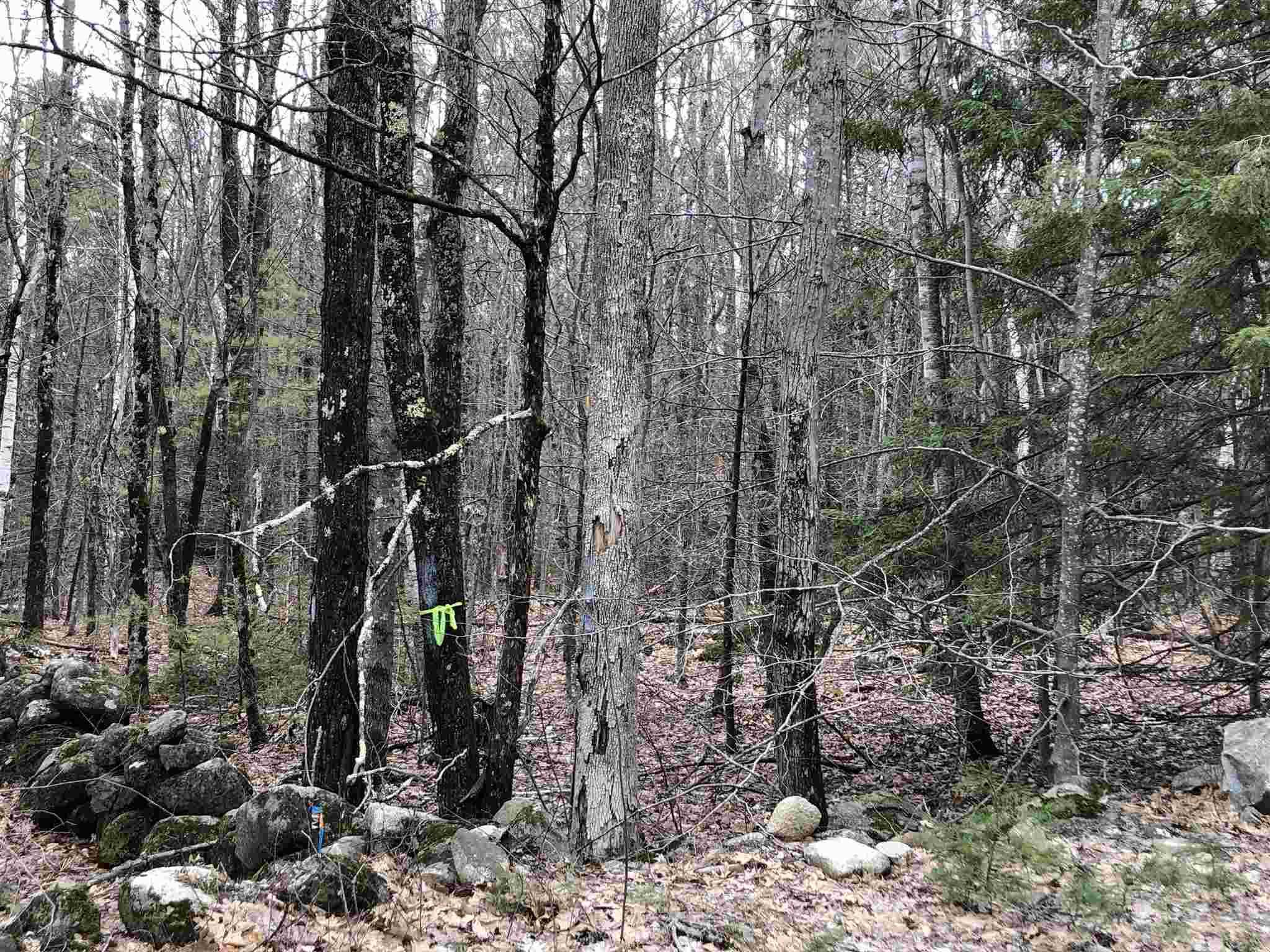 Drew Hill Road Alton, NH 03809 - Photo 2 of 4