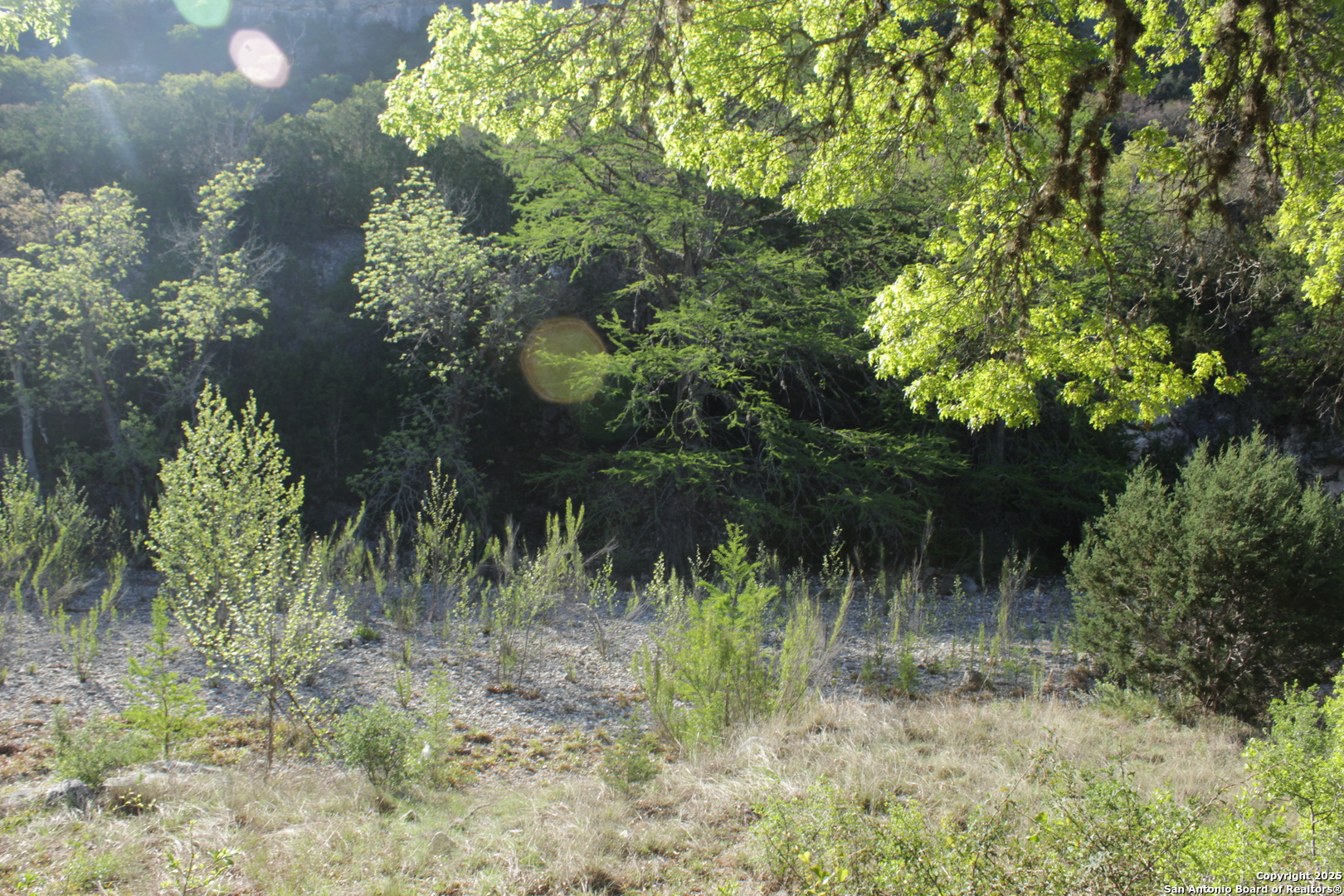 1976 Cedar Creek Road Leakey, TX 78873 - Photo 4 of 21 a view of a garden
