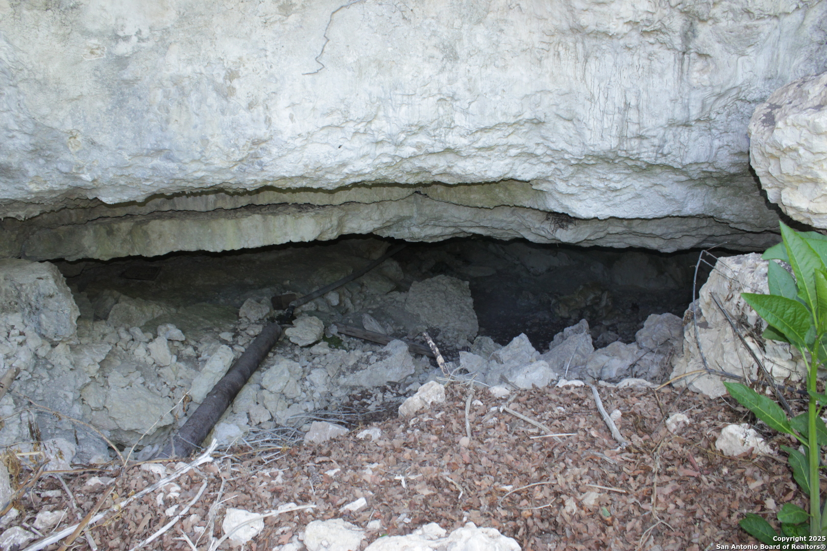 1976 Cedar Creek Road Leakey, TX 78873 - Photo 8 of 21 a view of a wooden wall with a dry ground