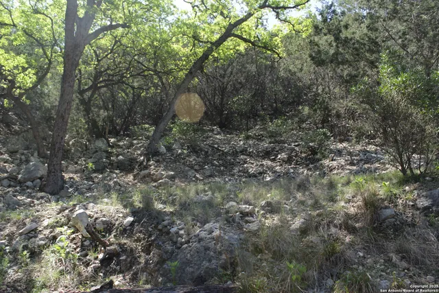 a view of a mountain in the distance