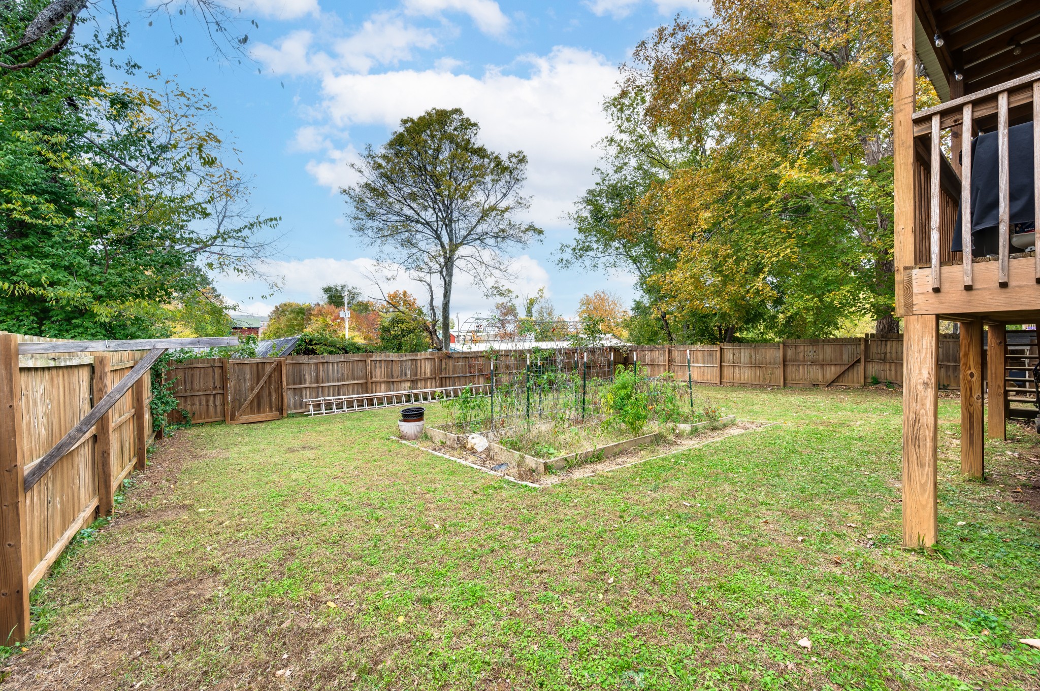 108 Poplar Street Dickson, TN 37055 - Photo 35 of 39 a view of backyard with green space