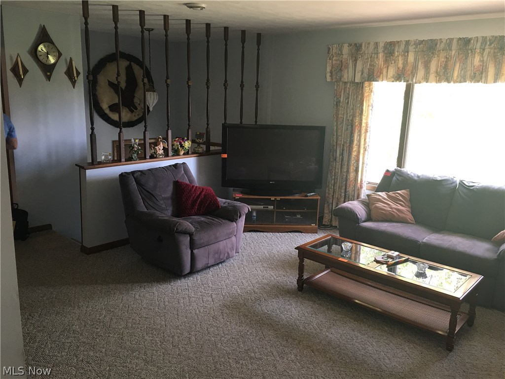 84918 Snyder Road Jewett, OH 43986 - Photo 8 of 23 Gallery Image 8