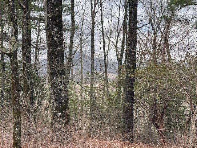 Lot 21 Southeast Ridge Road Cashiers, NC 28717 - Photo 10 of 10 Gallery Image 10