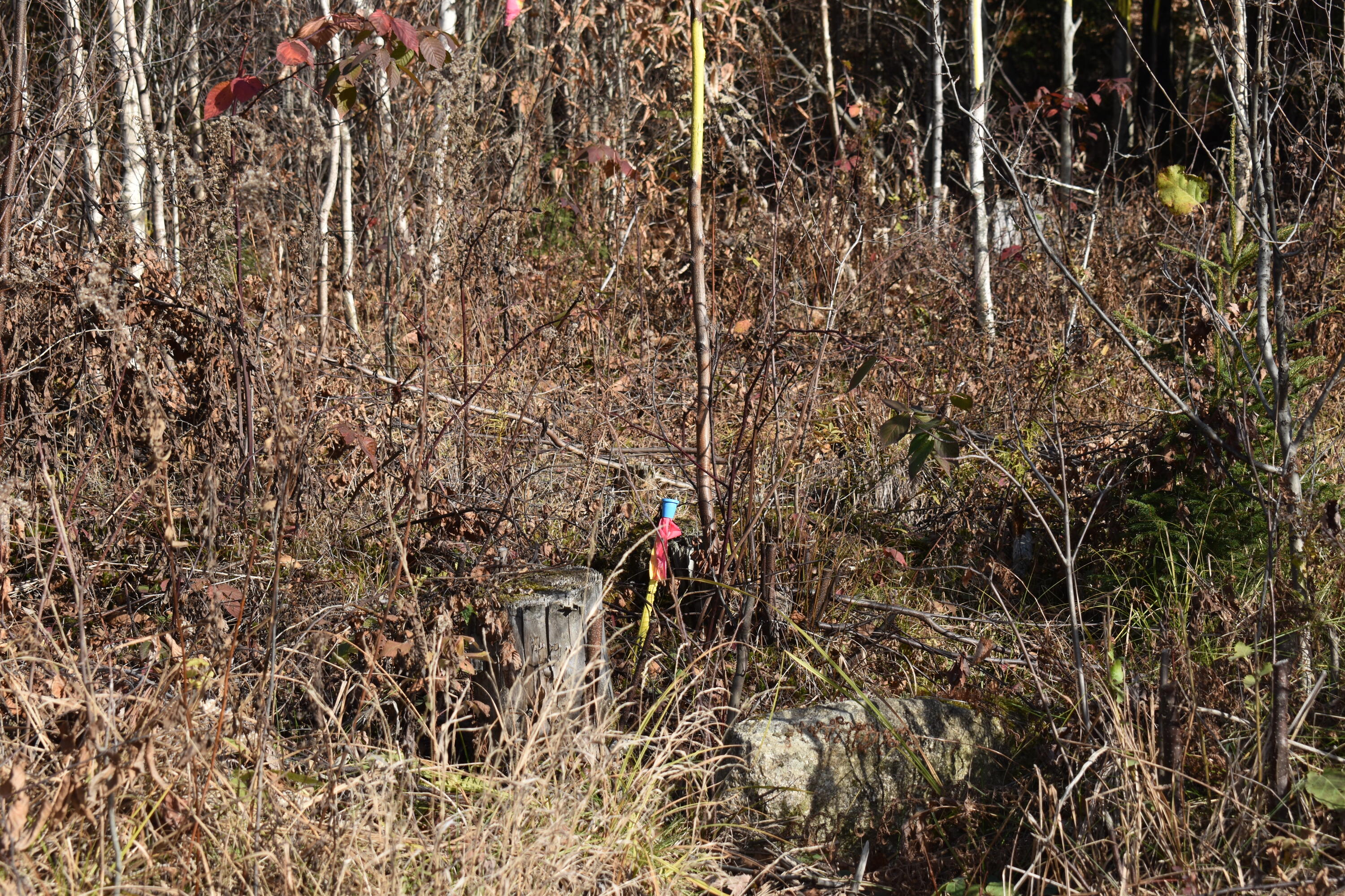 266 Half Township Road Lincoln, ME 04457 - Photo 2 of 18 DSC_0102
