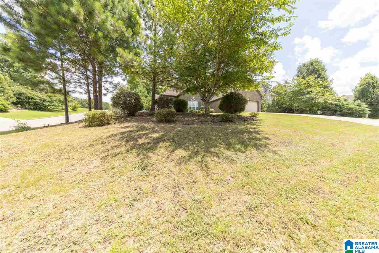 317 Falliston Court Helena, AL 35080 - Photo 38 of 40