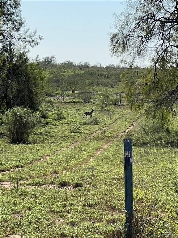 5212 Fm 1017 Delmita, TX 78536 - Photo 9 of 17