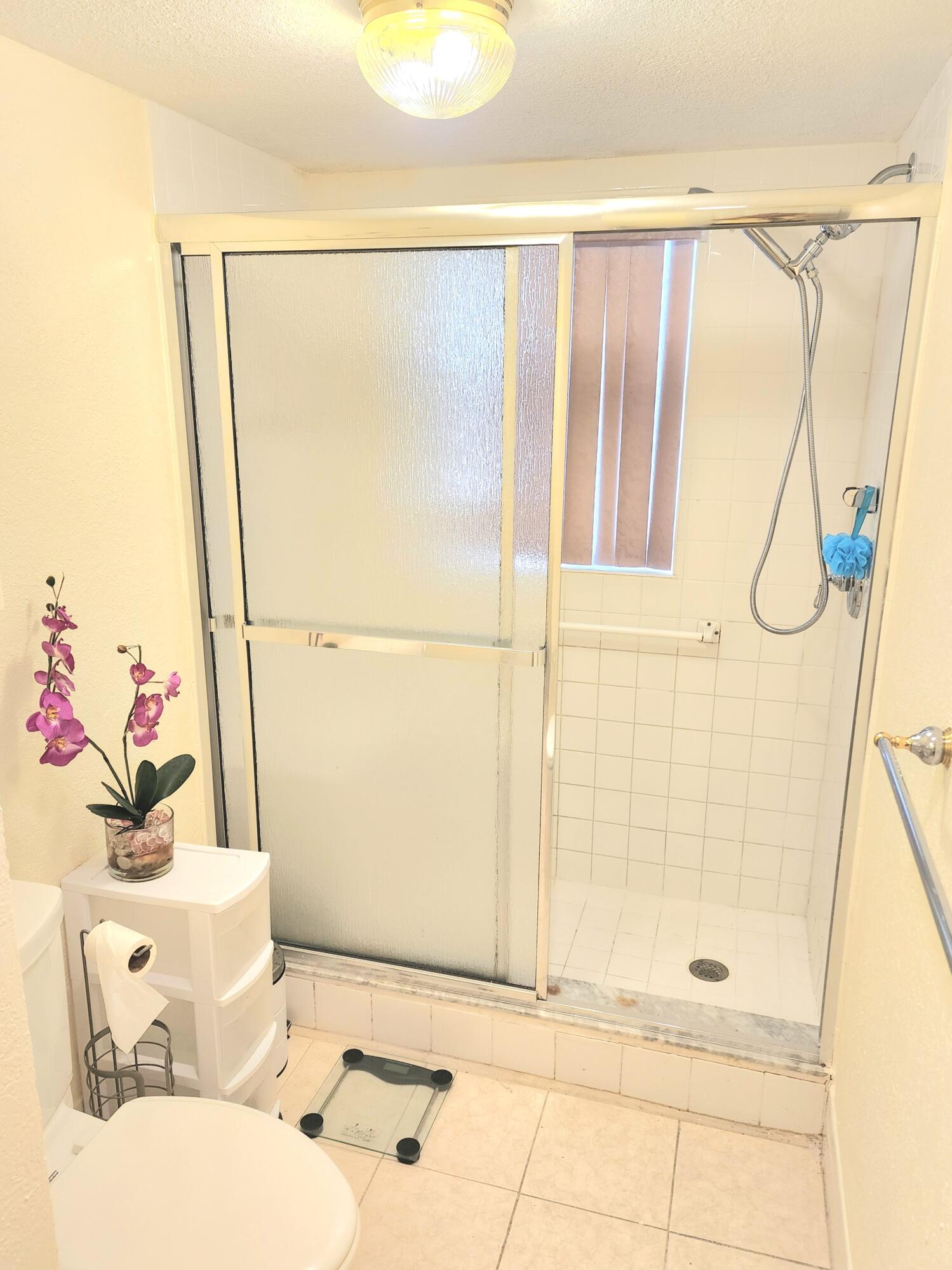 3959 Via Poinciana, Unit 208 Lake Worth, FL 33467 - Photo 20 of 32 a bathroom with a bathtub and a shower