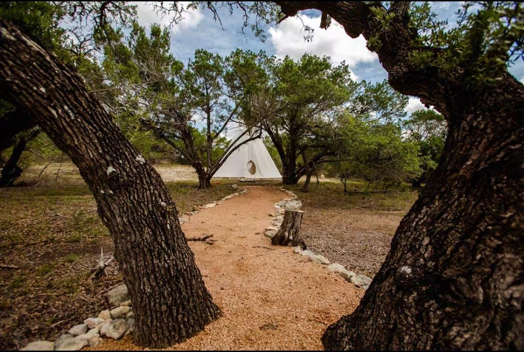 2300 West Fitzhugh Road Dripping Springs, TX 78620 - Photo 38 of 39 a view of a backyard of the house