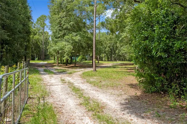 a view of a big yard