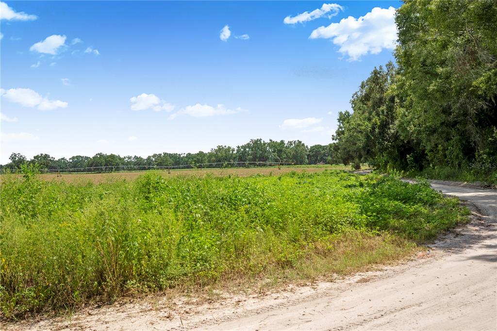 3749 Southwest 22nd Place Bell, FL 32619 - Photo 39 of 43 a view of a lake with a big yard