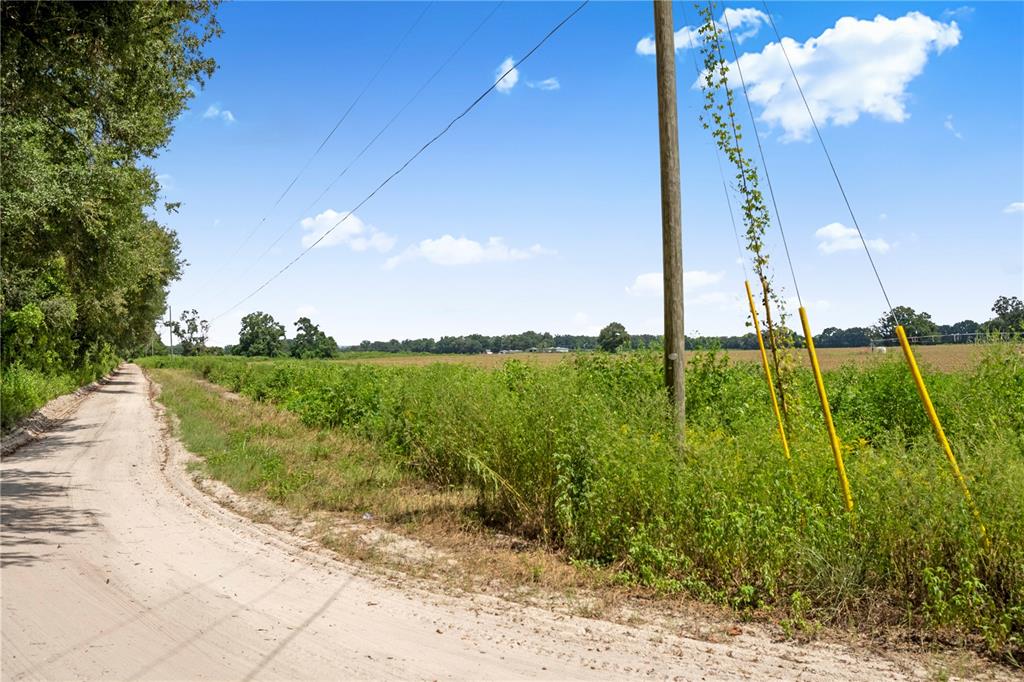 3749 Southwest 22nd Place Bell, FL 32619 - Photo 40 of 43 a view of a big yard