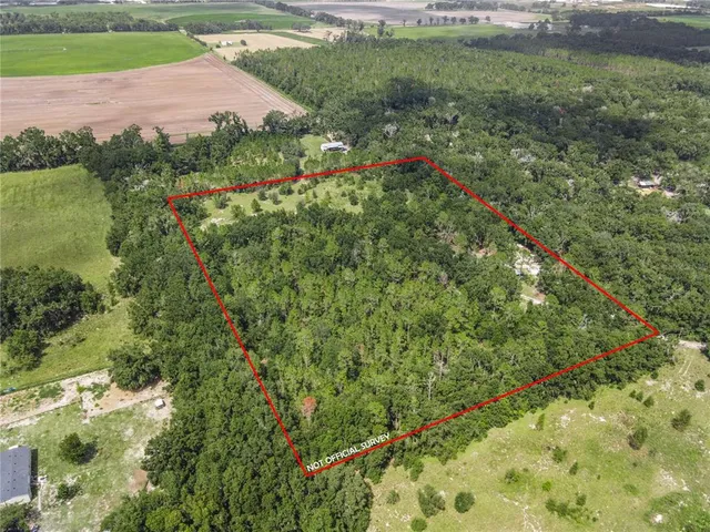 a view of a green yard with large trees
