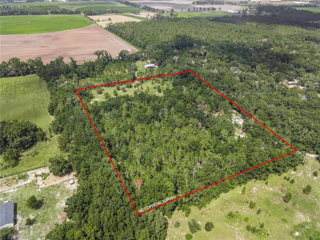 3749 Southwest 22nd Place Bell, FL 32619 - Photo 4 of 43 a view of a green yard with large trees