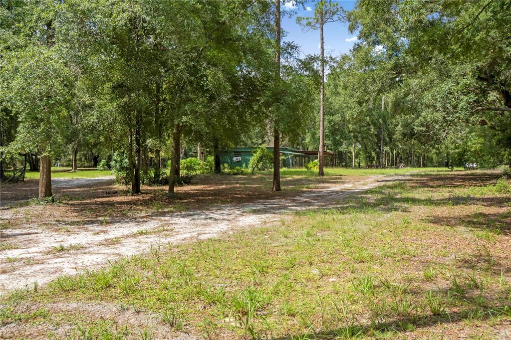 3749 Southwest 22nd Place Bell, FL 32619 - Photo 42 of 43 a view of a yard with basketball court