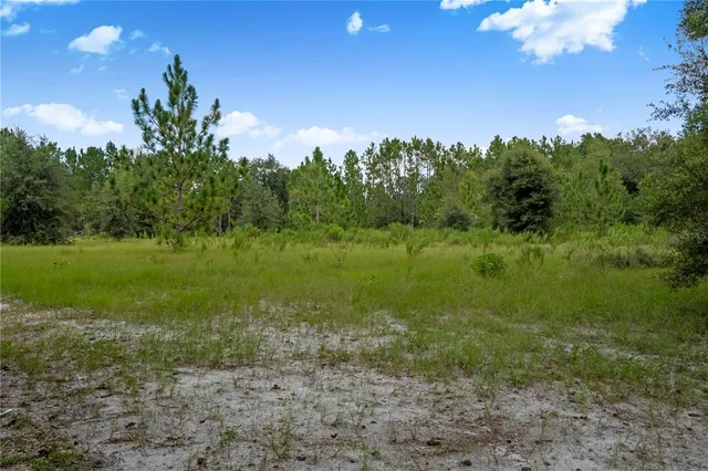 $275,000 | 3749 Southwest 22nd Place, Bell, FL 32619