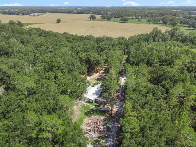 a view of a lake with a city