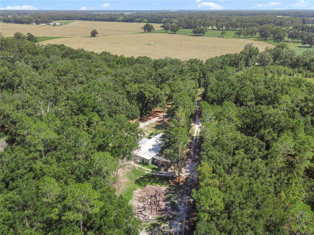 3749 Southwest 22nd Place Bell, FL 32619 - Photo 9 of 43 a view of a lake with a city