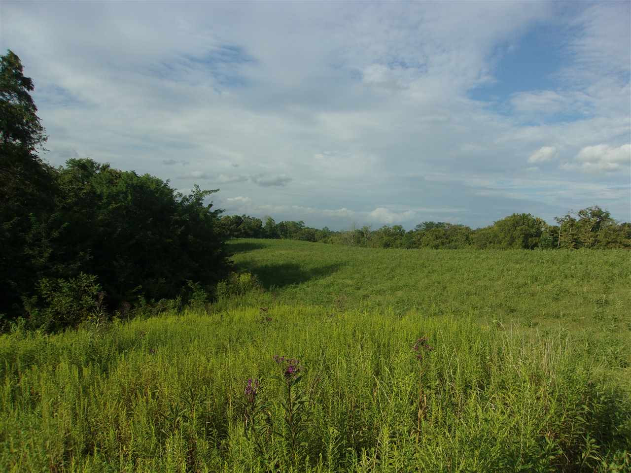0 T T Wenz Road Dover, KY 41034 - Photo 13 of 35 Gallery Image 13