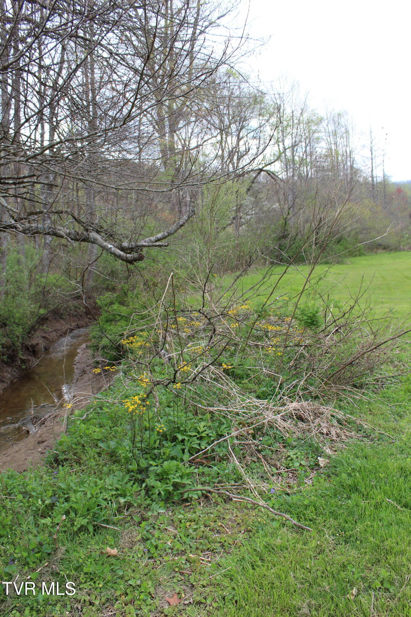 4598-4550 Reeds Creek Road, Unit 9 & 10 Keokee, VA 24265 - Photo 36 of 39 IMG_6710