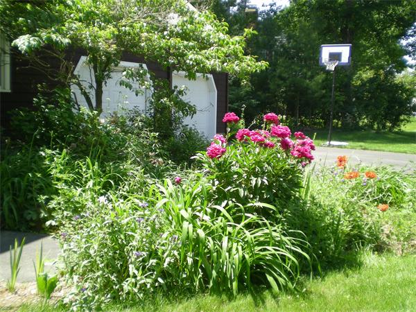 56 Sleigh Road Carlisle, MA 01741 - Photo 23 of 24 Gallery Image 23