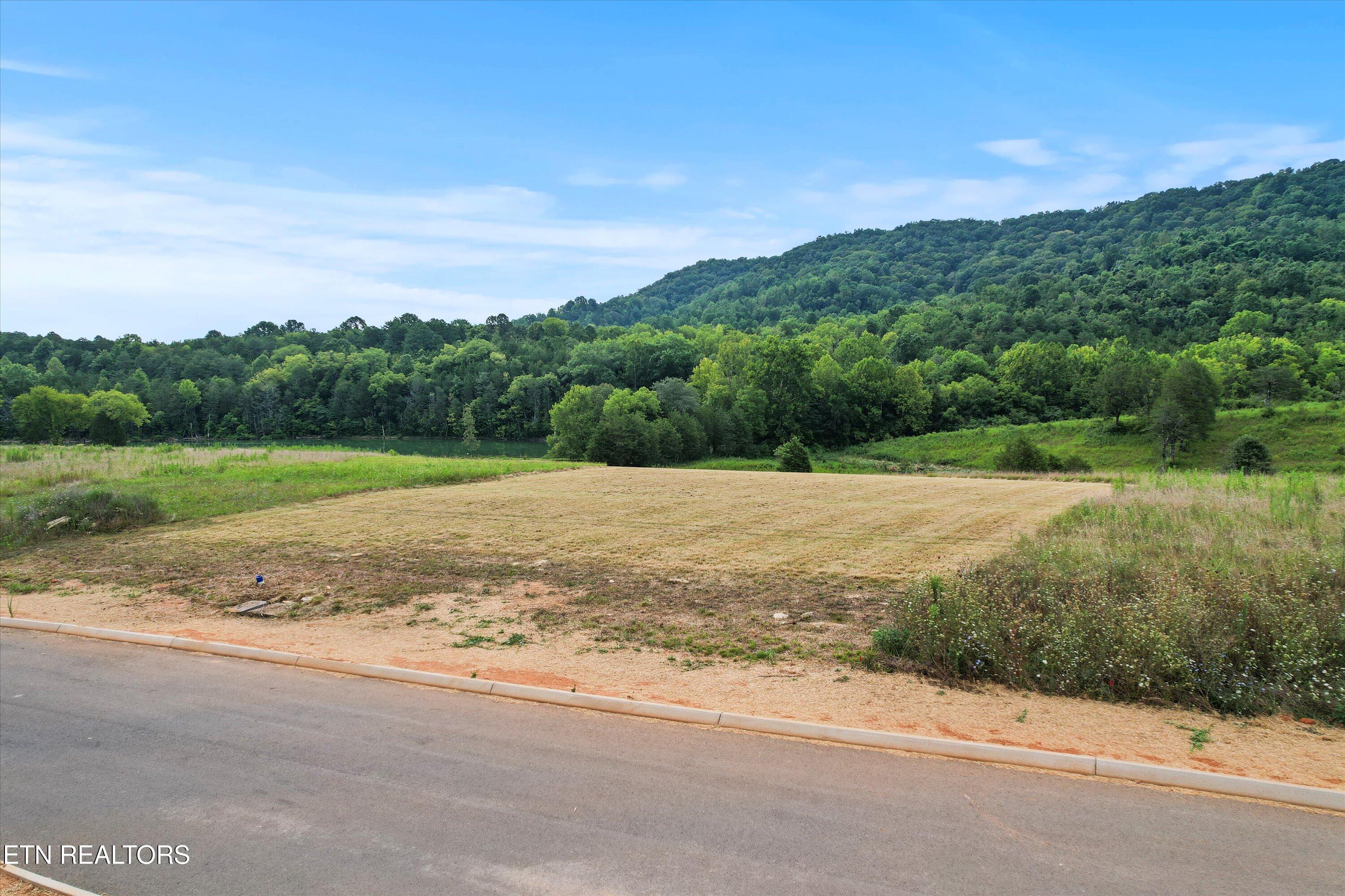 Waterfront Knoll Sharps Chapel, TN 37866 - Photo 6 of 38 01-DJI_0105