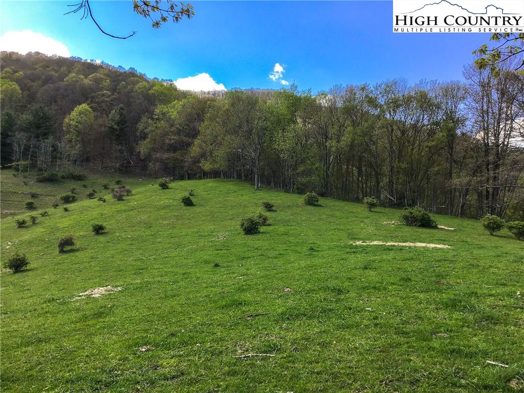 1071 Ragan Road Trade, TN 37691 - Photo 3 of 12 Gallery Image 3