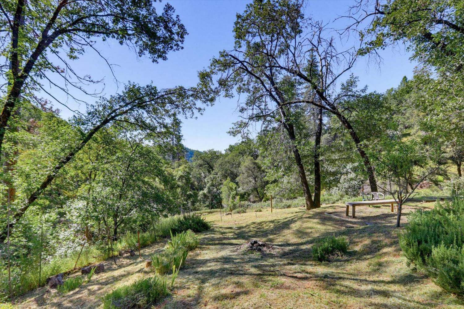 19953 Bear Ridge Road Grass Valley, CA 95949 - Photo 55 of 89