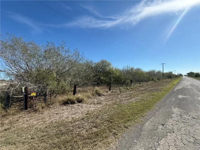 a view of a yard with a tree