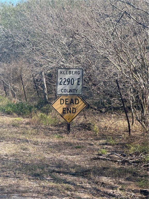 Lot 16 County Road 1110 S Riviera, TX 78379 - Photo 2 of 5 a view of a yard with an outdoor space