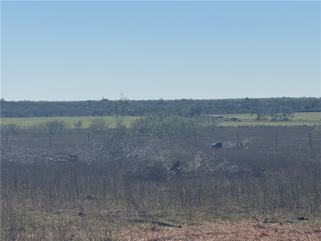 Lot 16 County Road 1110 S Riviera, TX 78379 - Photo 4 of 5 a view of a lake with a mountain in the background