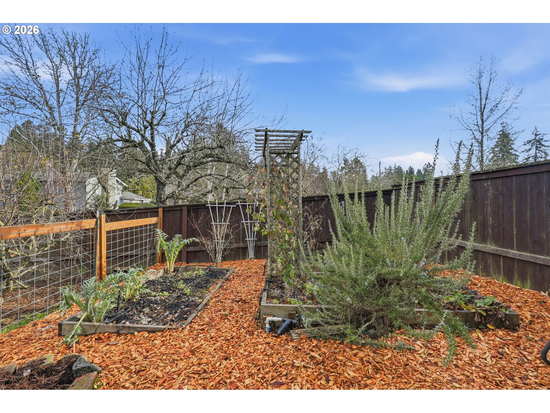 19350 Southwest Murphy Street Beaverton, OR 97078 - Photo 33 of 45 a view of a backyard