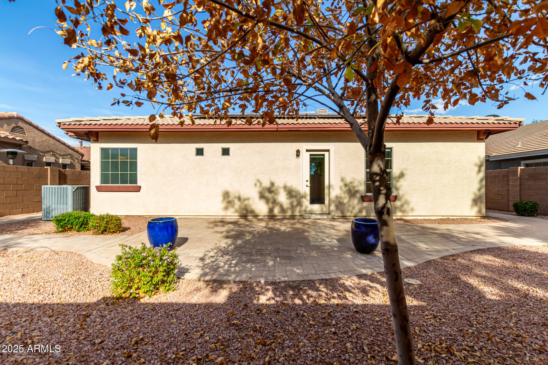 2602 South Nielson Street Gilbert, AZ 85295 - Photo 34 of 39 a view of a yard with plants and a tree