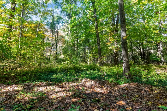 $875,000 | 6565 Riverside Road, Fennville, MI 49408