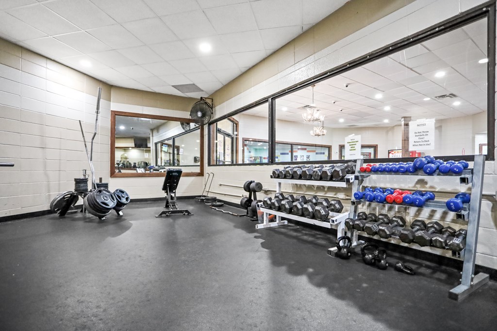 96 Holiday Court Ellijay, GA 30540 - Photo 49 of 51 a view of a room with gym equipment