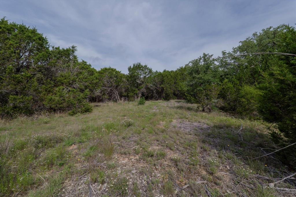 Tbd Mustang Road Purmela, TX 76566 - Photo 7 of 11 a view of a field with trees in background